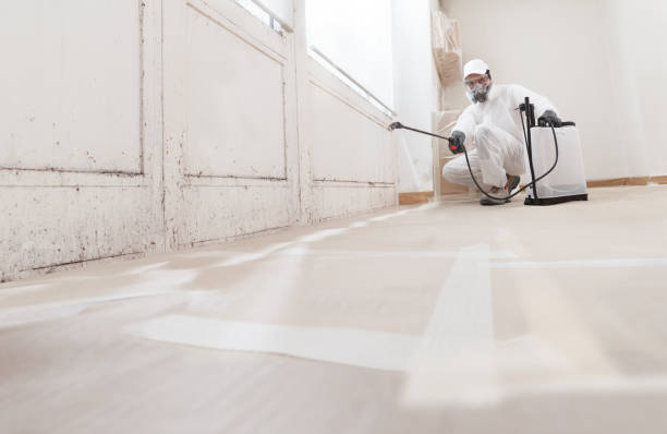 24/7 Emergency Attic Mold Remediation experts in Little Silver, NJ