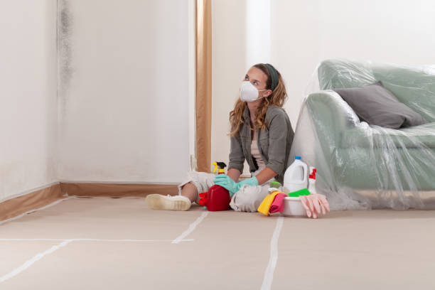 Reliable Attic Mold Remediation contractor in Little Silver, NJ by Car Mold Remediation